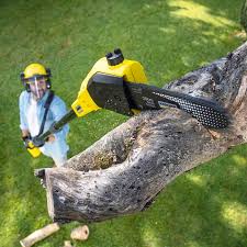 Best Tree Planting  in Frisco, TX
