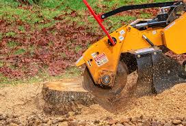 How Our Tree Care Process Works  in  Frisco, TX